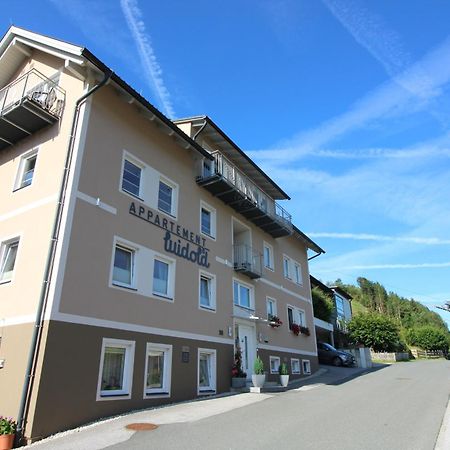 Apartments Luidold Schladming Dış mekan fotoğraf