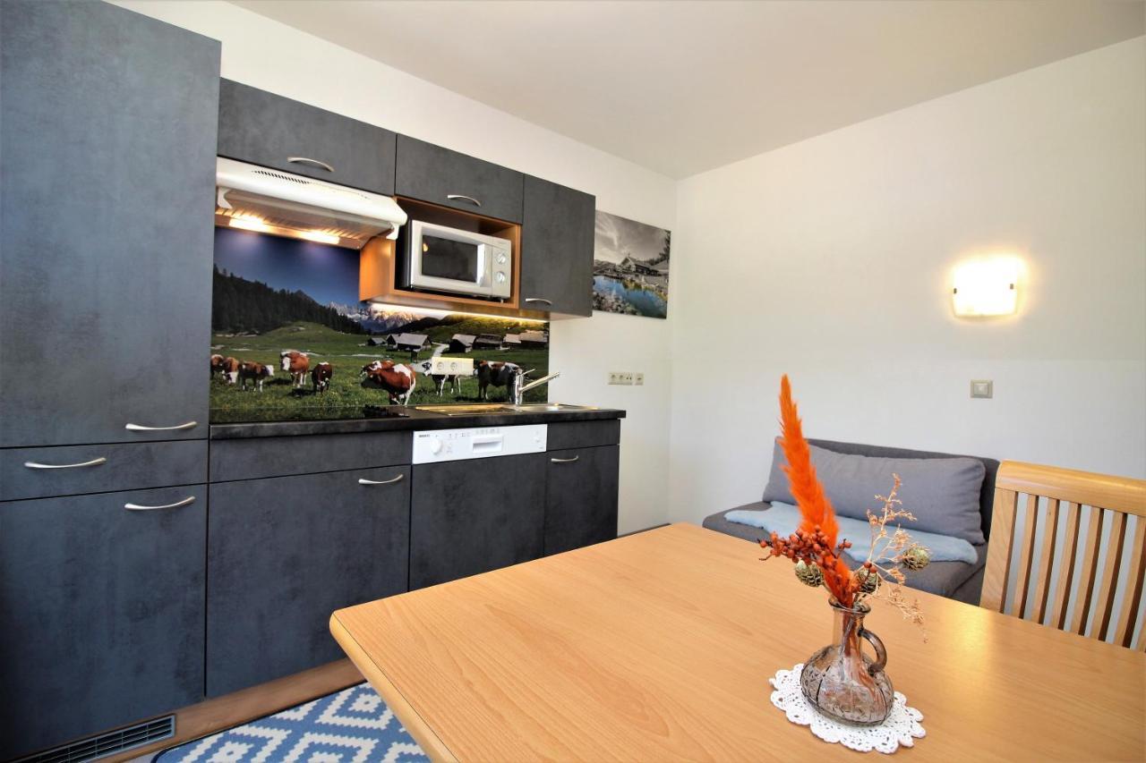 Apartments Luidold Schladming Dış mekan fotoğraf