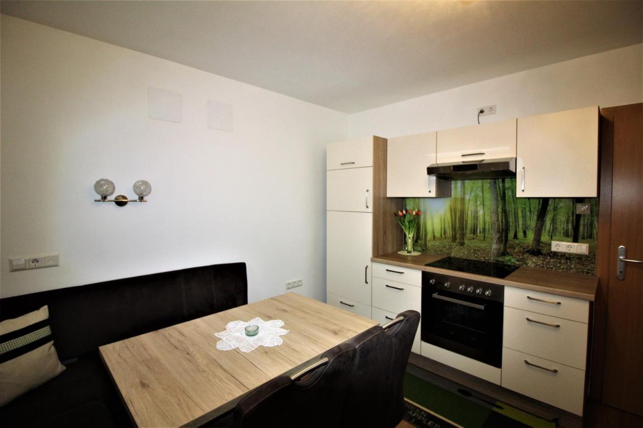 Apartments Luidold Schladming Dış mekan fotoğraf